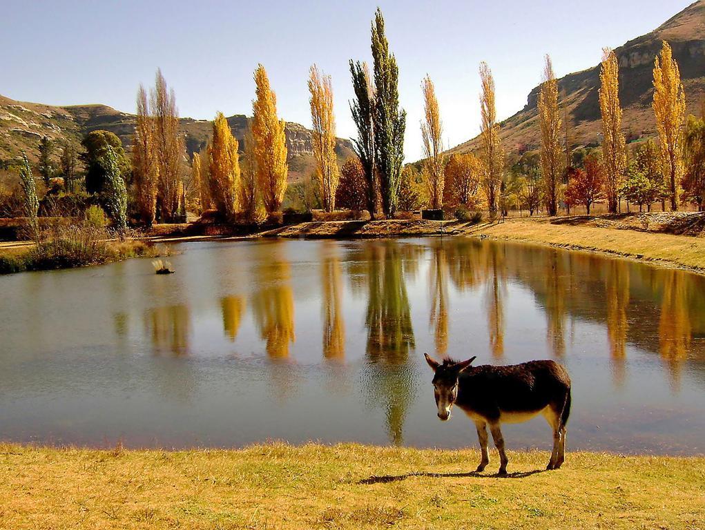 Lake Clarens Guest House Экстерьер фото